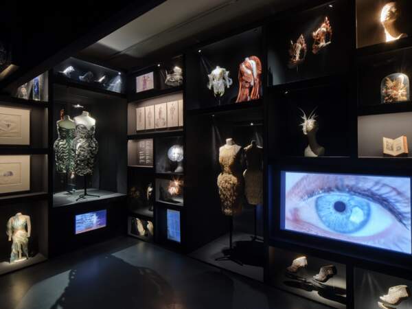 Le cabinet de curiosité de l'exposition Sculpting the senses